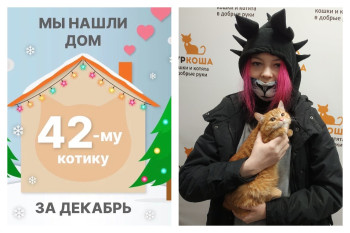 Рыжий Вилмар всего за один месяц стал домашним!