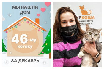 Шестилетний котик Тихоша отправился в новый дом!