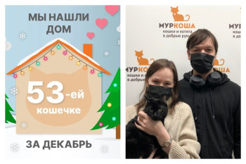 Кошечка Багги стала домашней и счастливой!