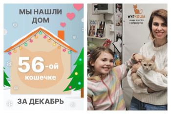 Спустя два месяца в новую жизнь уехала кошка Гламурка!