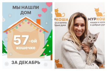 Очаровательная кошечка Манга отправилась домой!