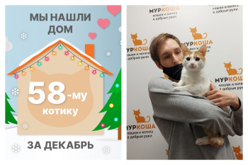 Котик Фотон начинает новую жизнь!