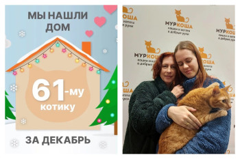 Солнечный Пиксель начинает новую жизнь!