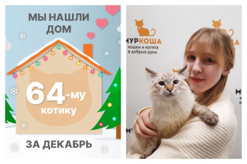 Малыш Джимми уезжает в новый дом!