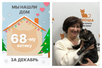 Пятилетний котик Топтышка нашел новый дом за один месяц!