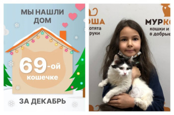 Кошечка Бегония отправилась в новый дом!