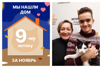 Котик Ландыш начинает домашнюю жизнь!