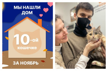 У кошечки Куропаточки теперь есть дом и семья!
