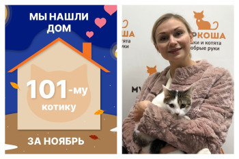 Котик Фитиль стал домашним любимцем!