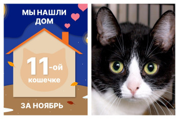 Милая Шпуся начинает жизнь с чистого листа!