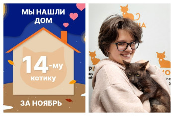 Годовалый кот Усачик встретил заботливую хозяйку!