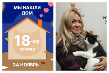 Котик Астик начинает домашнюю жизнь!