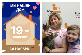 Милая Мурляшка стала домашней кошечкой!