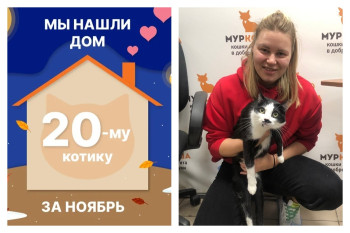 Кот Никитис, наш особенный и отважный парень, стал домашним!