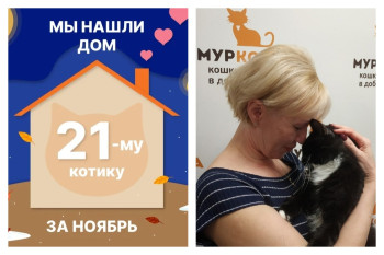 У котика Максимилиана теперь есть дом и семья!