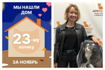 Котик Сарделькин начинает счастливую жизнь дома!