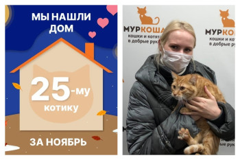 Котик Фан-Фан начинает домашнюю жизнь всего месяц спустя!