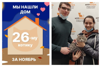 Котик Платон Маяковский стал частью прекрасной семьи!