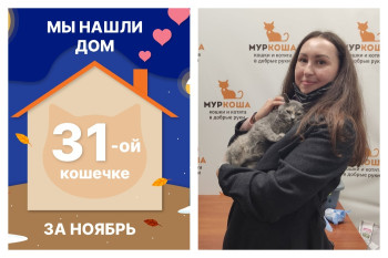 Крошка Мукуся нашла дом за один месяц!