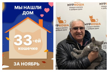 У кошечки Эрхи появилась любящая семья!