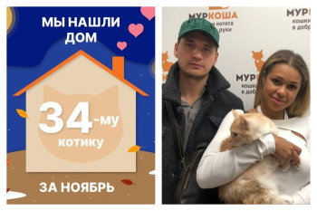 Котик Колбасье отправился домой спустя полтора месяца!