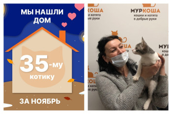 Малыш Тарахтуль стал домашним за три дня!