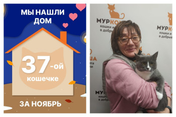 Кошечка Влада стала домашней за полтора месяца!
