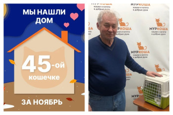 Кошечка Грелочка отправилась домой спустя три недели!
