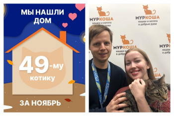 Котик Пятыч отправился в домашнюю сказку!