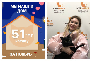 Котик Чипотле уезжает в новую жизнь!