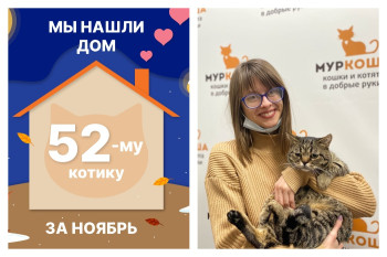 Милый Курносик нашёл дом за два месяца!