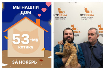 Солнечный Желточек начинает новую жизнь!