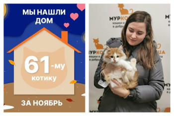 Котик Муррицио стал домашним за две недели!