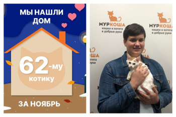 Котик Сулугуни стал домашним за два месяца!