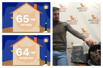 Кошечка Лумара и котик Бонзалин отправляются в один дом!
