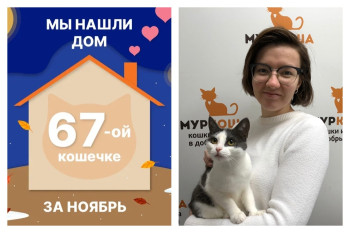 Кошечка Василиска отправилась домой спустя два месяца!
