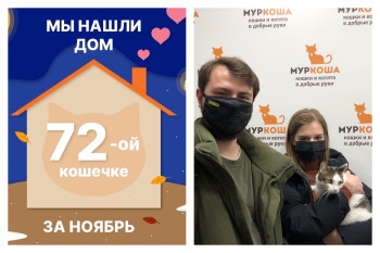 Фелисити уехала домой спустя полтора месяца!