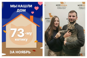 Франц отправился в новый дом!