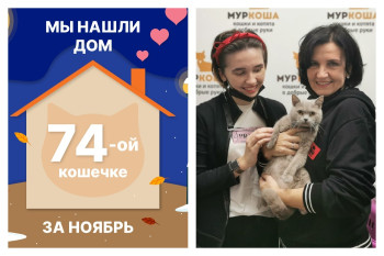 Очаровательная Фарель встретила надежных хозяев!