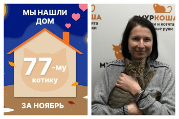 Котик Медовичок встретил заботливую хозяйку за два месяца!