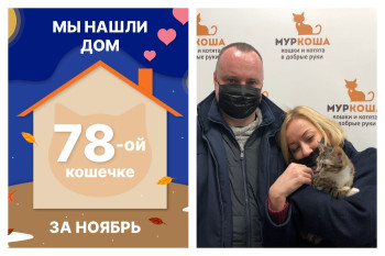 Малышка Котюля нашла дом за два месяца!