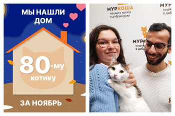 У котика Фрикаделькина появилась любящая семья!