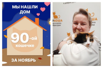 Кливия начинает новую жизнь!