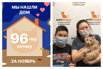 Котёнок Бенхамин стал домашним!