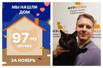 Брюнет Вандер обрёл свой дом!