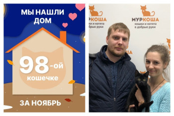 Кошечка Гипатия стала домашней любимицей!