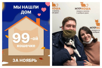 У малышки Катриши появилась любящая семья всего за месяц!