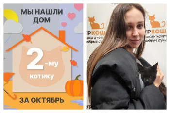 Кот Басик встретил свою прекрасную хозяйку!