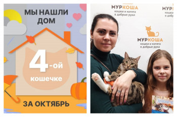 У кошечки Лалит теперь есть дом и семья!