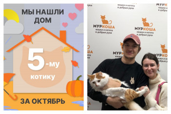 Красавец Мумитроль уезжает в новый дом!